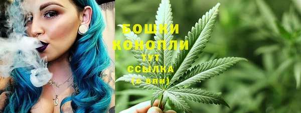дмт Козельск